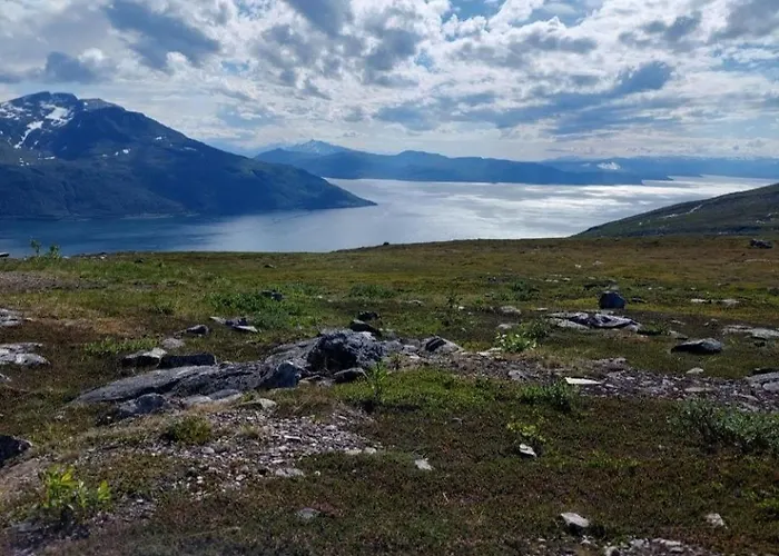 Arctic - Mellomgaard On Southern Kvaloya #sauna & Bbq Hut On Site! * Tromsø